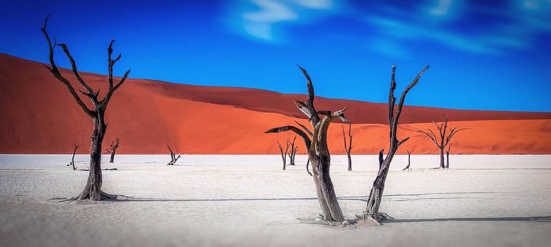 Dead Vlei - Namibie