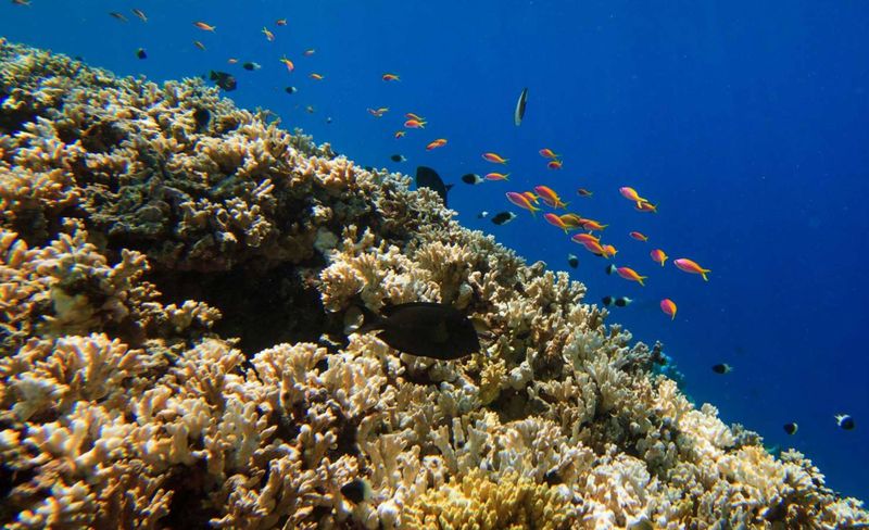 Helengeli 4* - Maldives